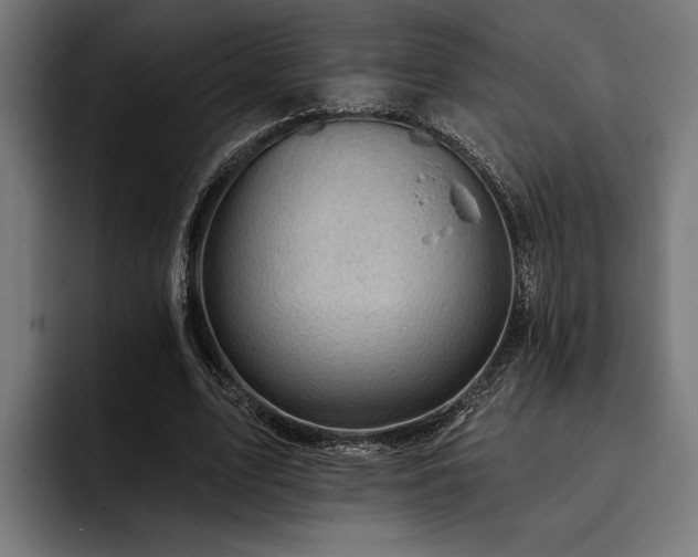 X0000093400583200710121100