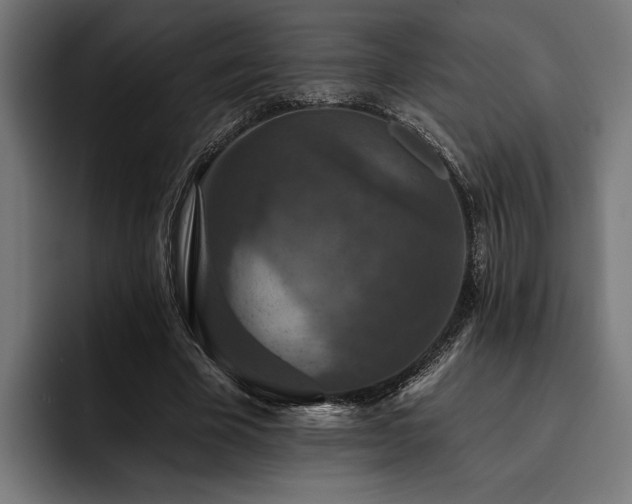 X0000093400585200710121100