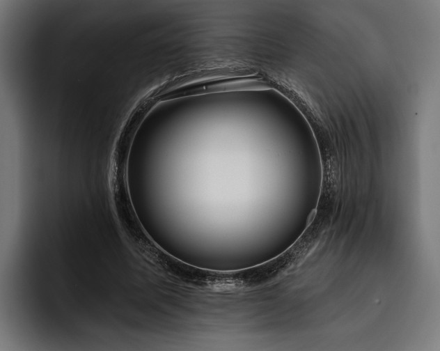 X0000093400587200710121100