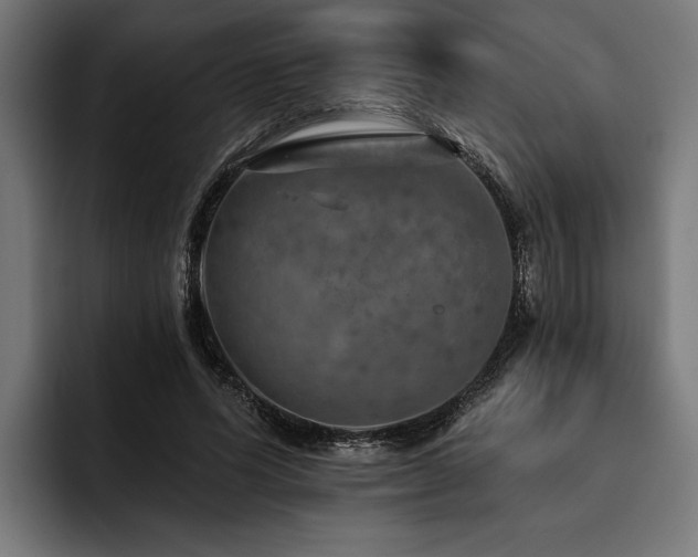 X0000093400591200710121100