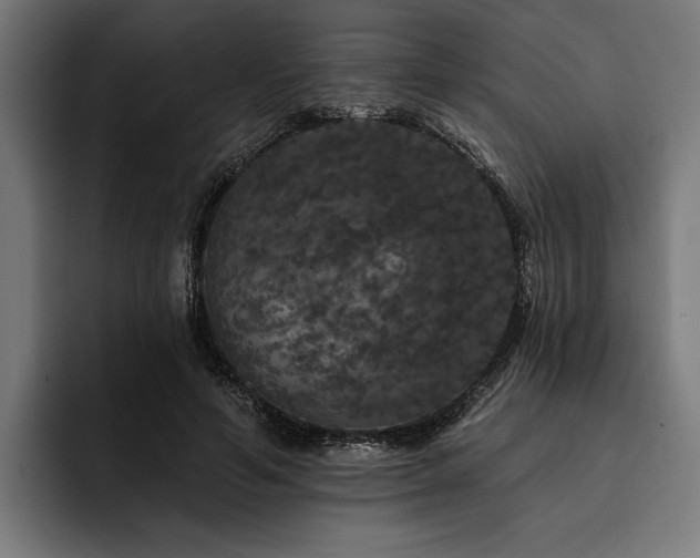 X0000093400594200710121100