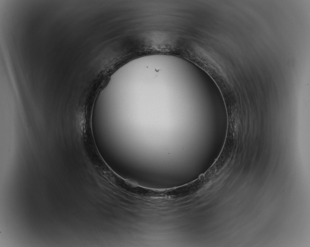 X0000093400595200710121100