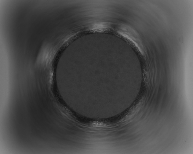 X0000093400596200710121100