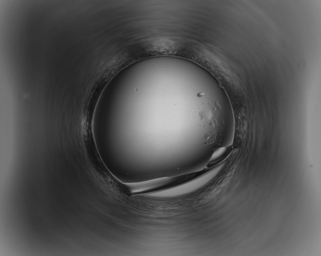 X0000093400597200710121100