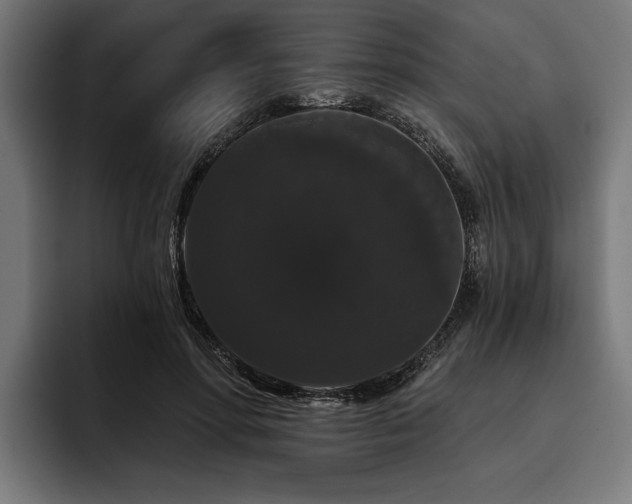 X0000093400598200710121100