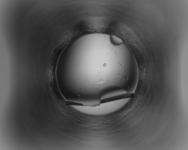 X0000093400599200710121100