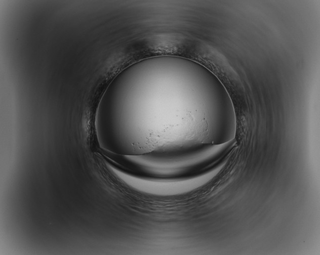 X0000093400600200710121100