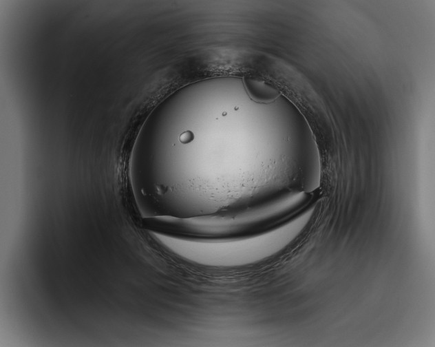 X0000093400601200710121100