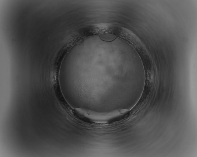 X0000093400602200710121100