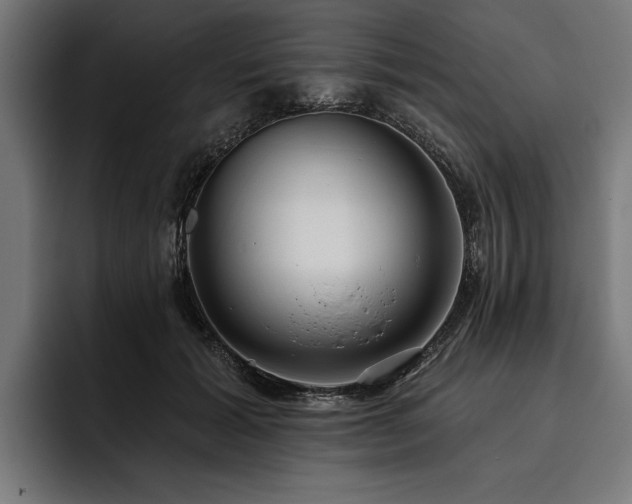 X0000093400605200710121100