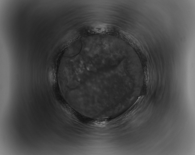 X0000093400606200710121100