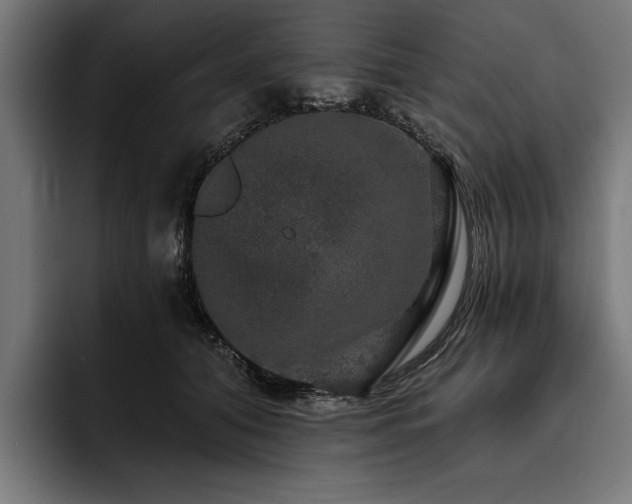 X0000093400608200710121100