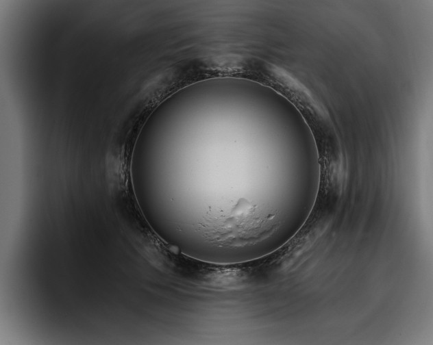 X0000093400609200710121100