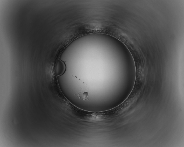 X0000093400612200710121100