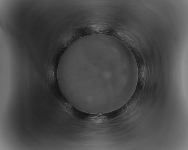 X0000093400615200710121100
