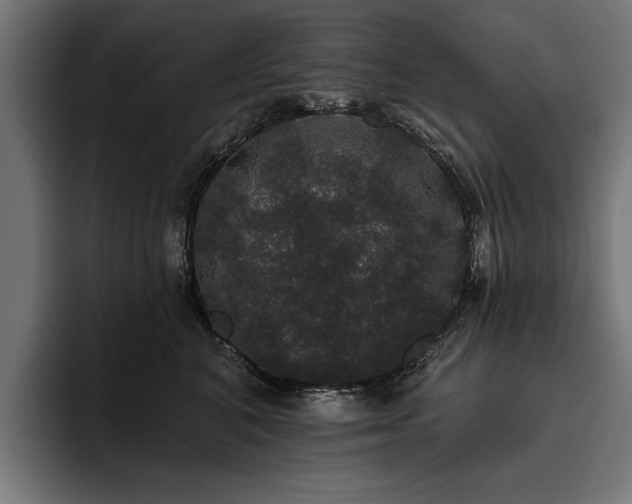 X0000093400616200710121100