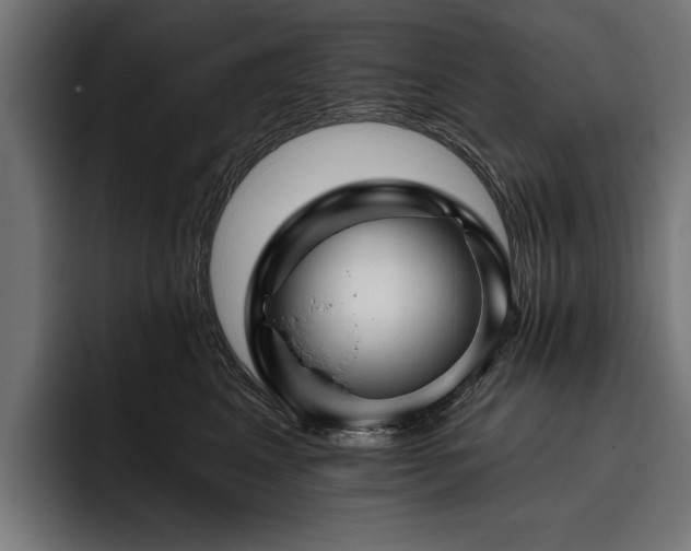 X0000093400617200710121100
