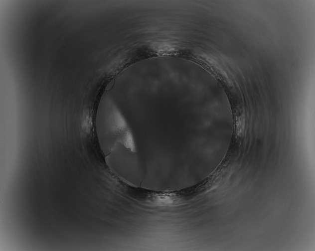 X0000093400618200710121100