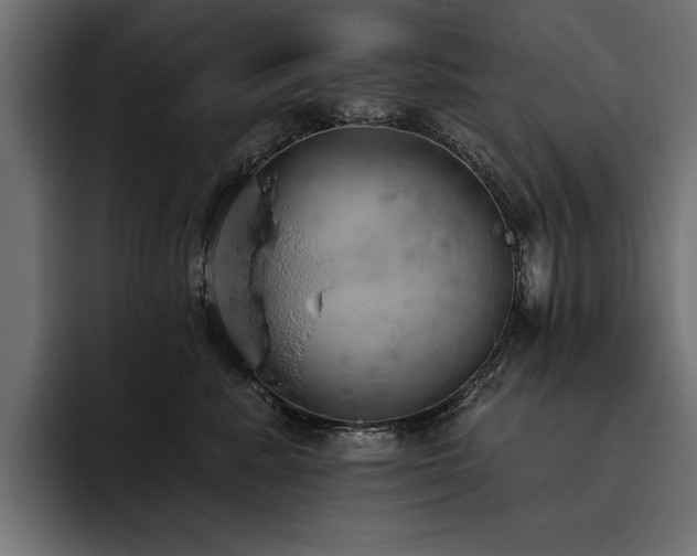 X0000093400619200710121100