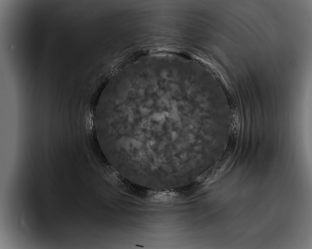 X0000093400621200710121100