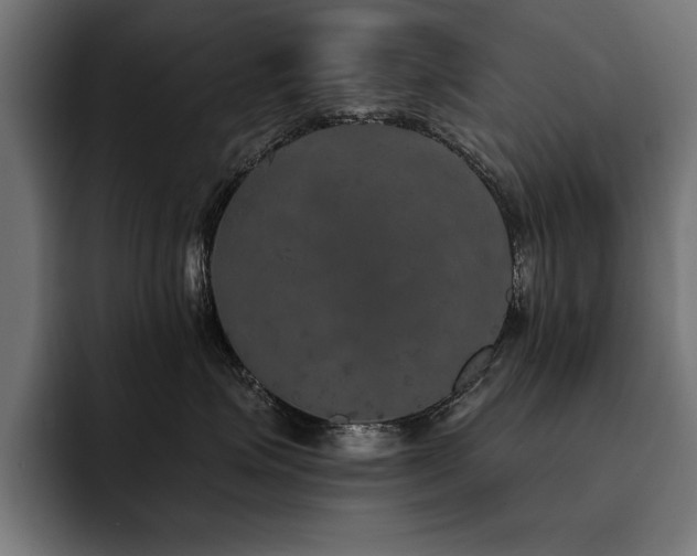 X0000093400623200710121100