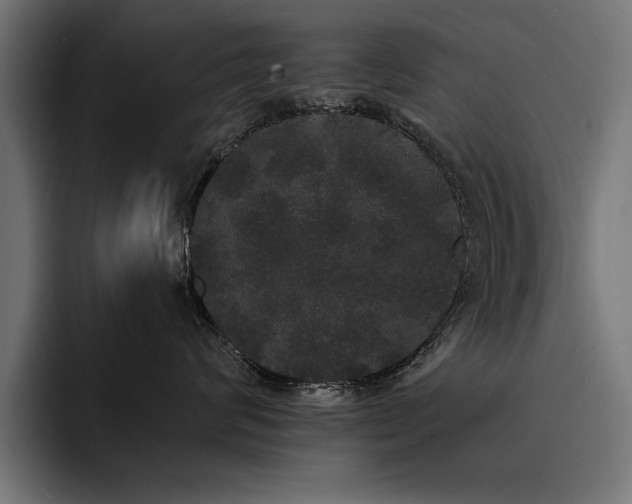 X0000093400624200710121100