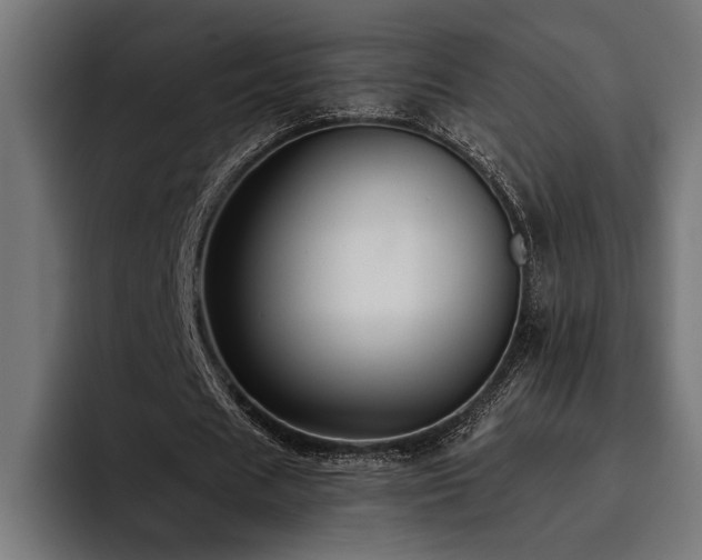 X0000093400625200710121059