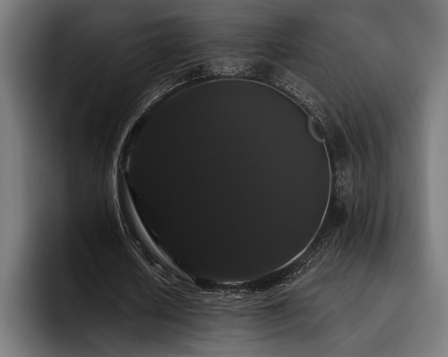 X0000093400626200710121059