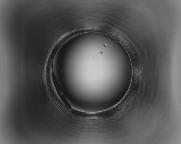 X0000093400628200710121059