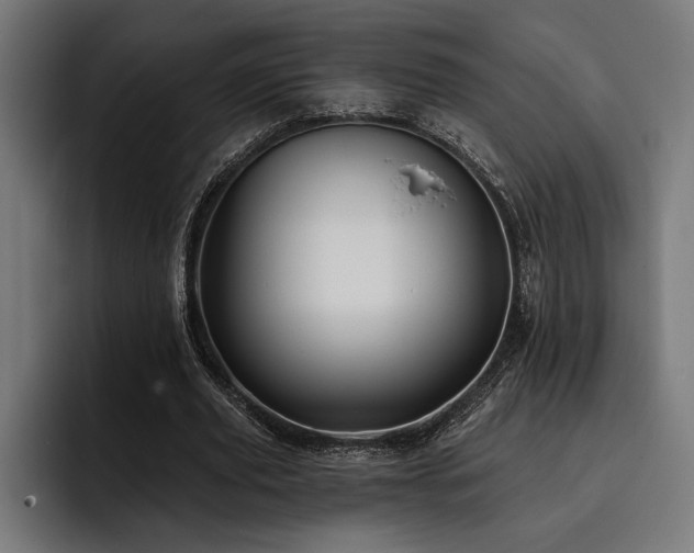 X0000093400629200710121059