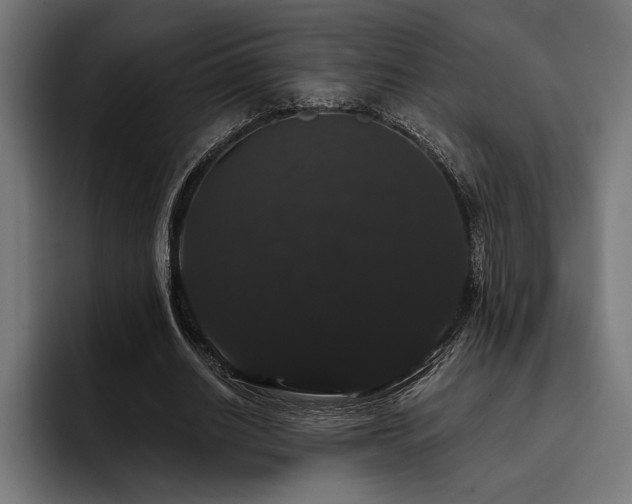 X0000093400630200710121059