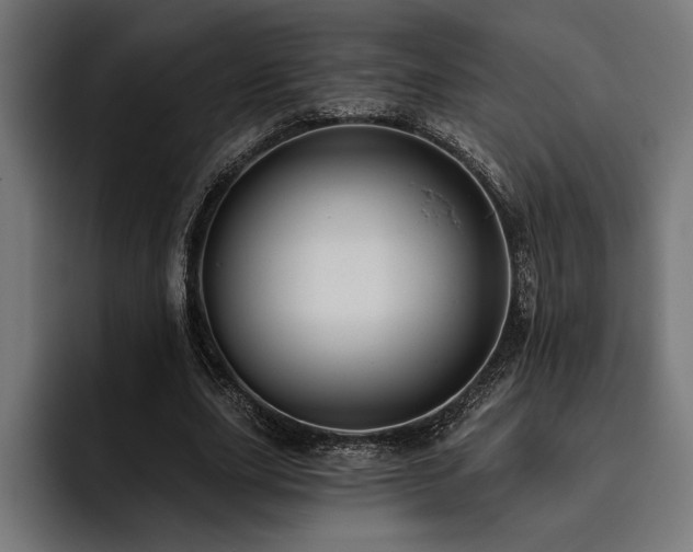 X0000093400631200710121059
