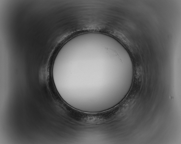 X0000093400632200710121059