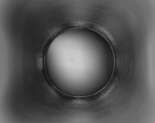 X0000093400633200710121059