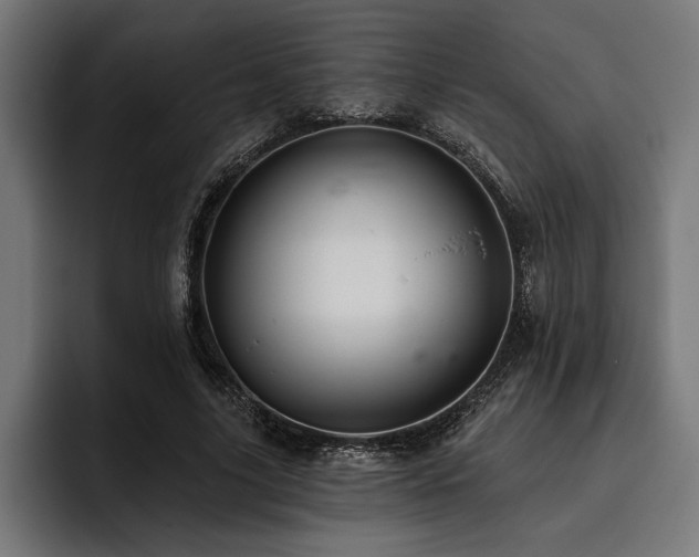 X0000093400635200710121059