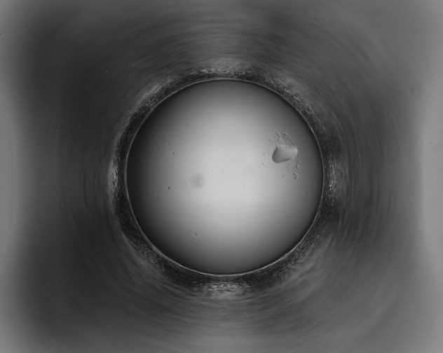 X0000093400636200710121059