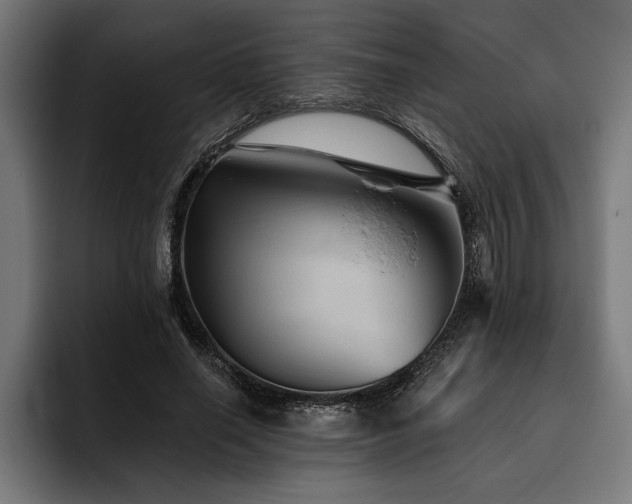 X0000093400638200710121059