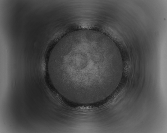 X0000093400639200710121059