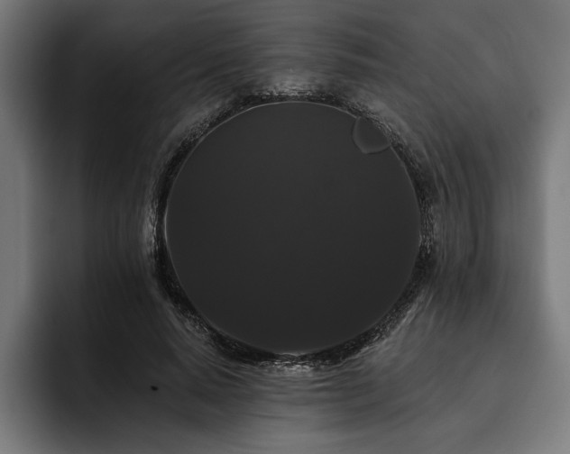 X0000093400640200710121059