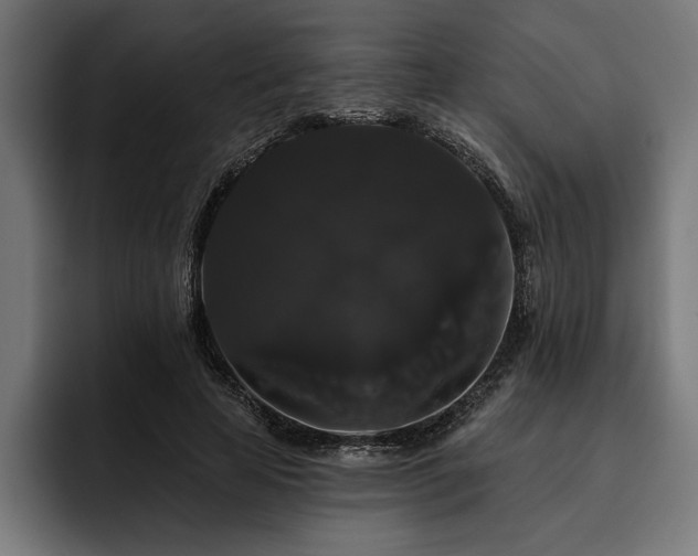 X0000093400641200710121059