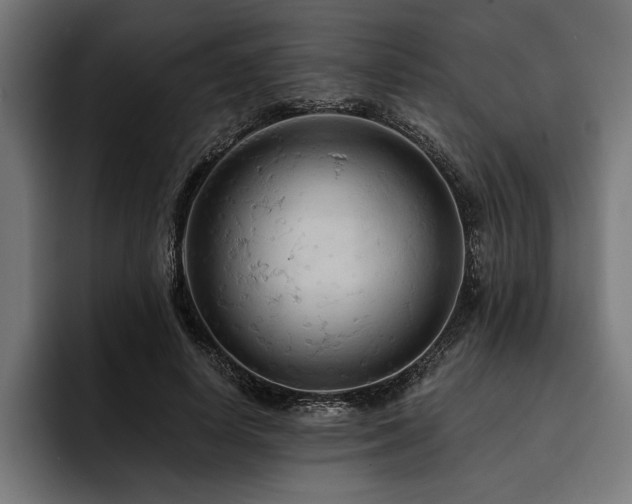 X0000093400642200710121059