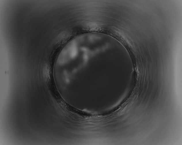 X0000093400643200710121059