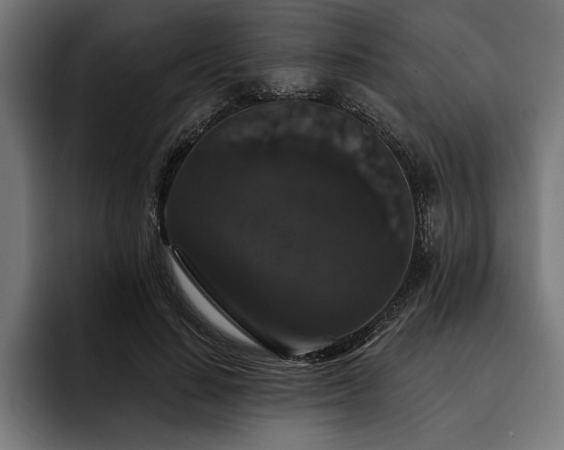 X0000093400644200710121059