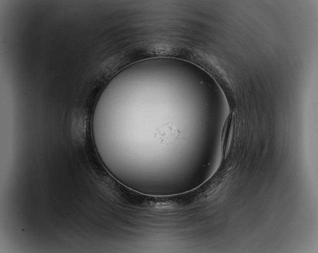 X0000093400645200710121059