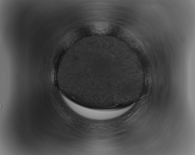 X0000093400647200710121059