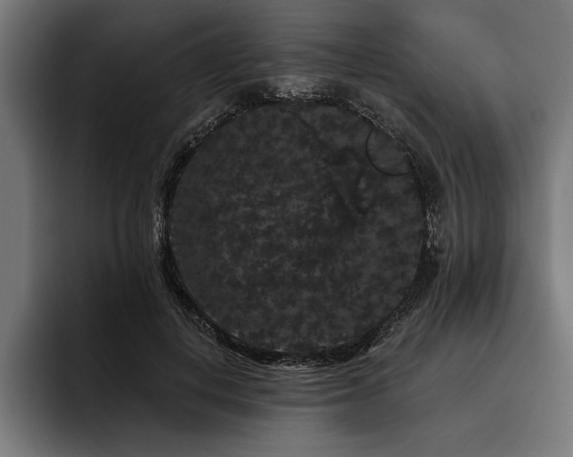 X0000093400648200710121059