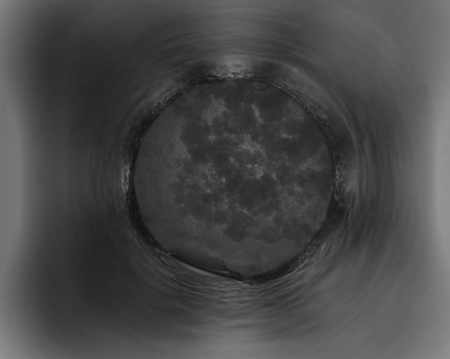 X0000093400652200710121059