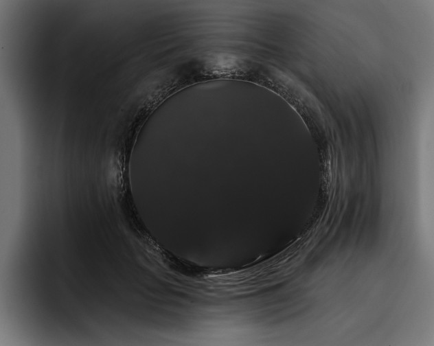 X0000093400653200710121059