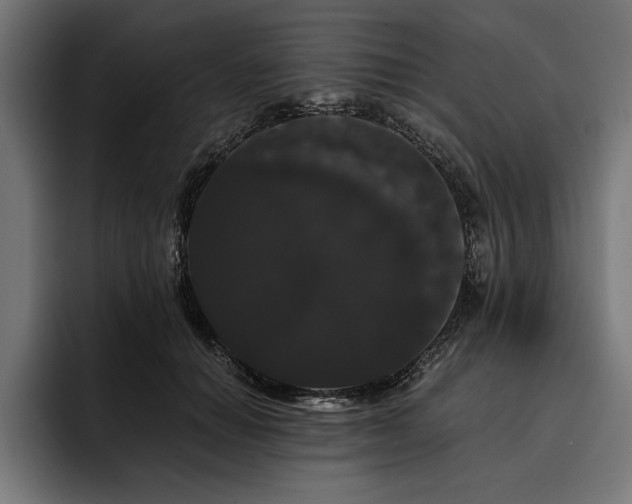 X0000093400654200710121059
