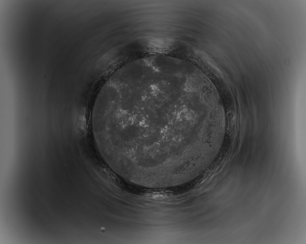 X0000093400655200710121059